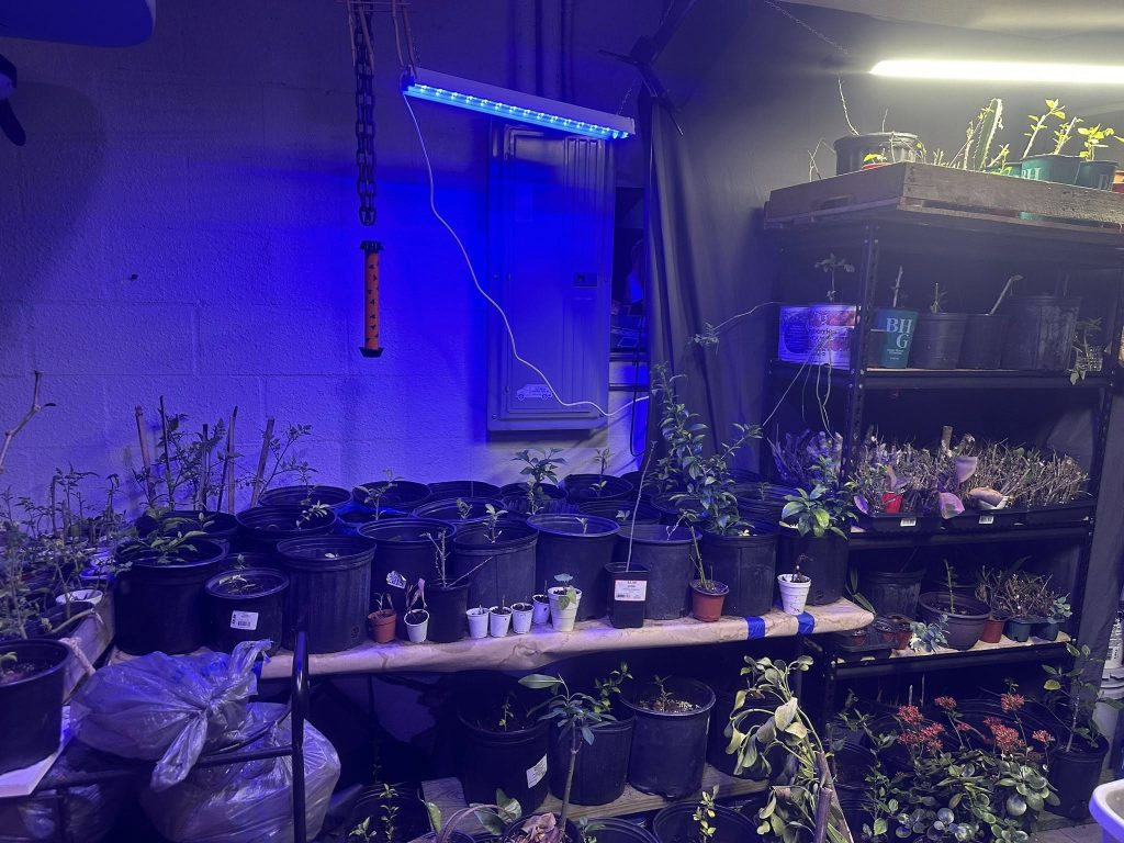 ❄️ When Florida Froze safe in my garage tropical plants